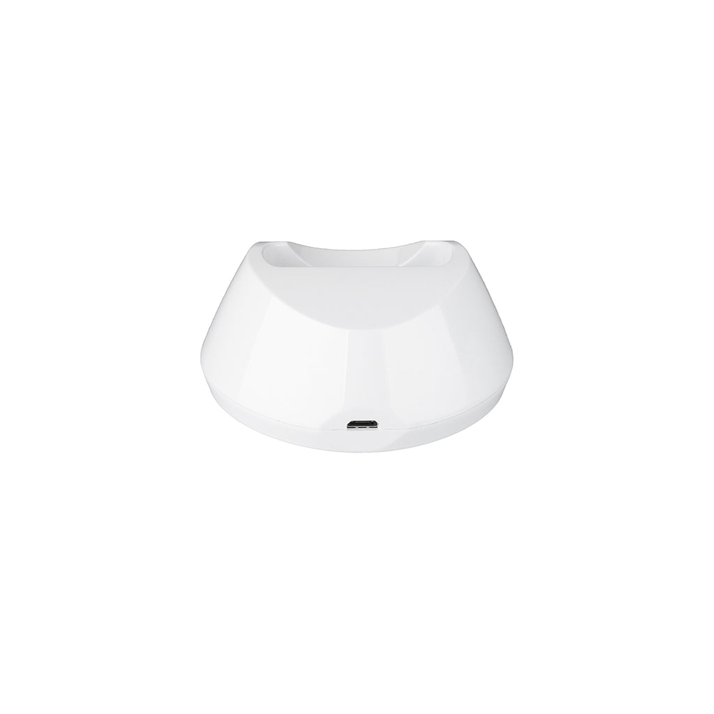 Laddstation Posifon Pico